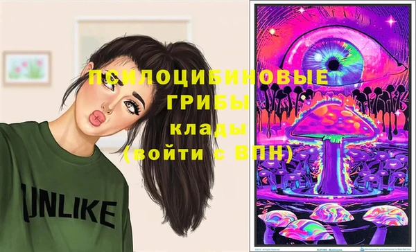 гидра Мегион