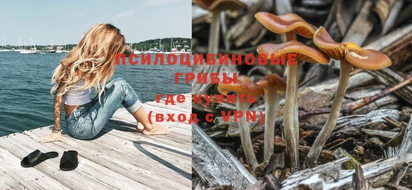 МДМА Медвежьегорск