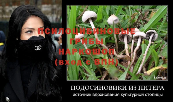 МДМА Медвежьегорск