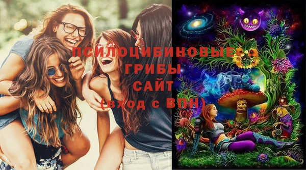МДМА Медвежьегорск