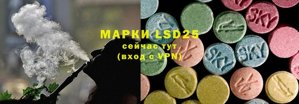 гидра Мегион