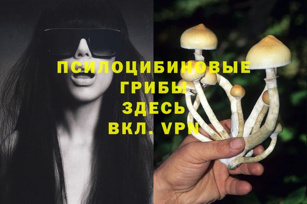 МДМА Медвежьегорск