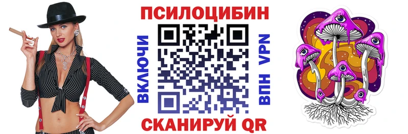 Псилоцибиновые грибы мицелий  Купить закладки  Снежинск 